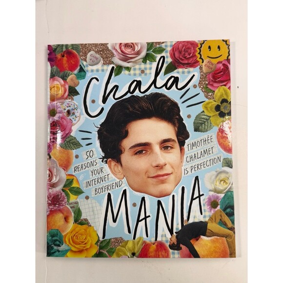 Timothée Chalamet Fan Bundle Decorative Pillows w/ Book Chalamania (Bx 21) - Picture 7 of 8